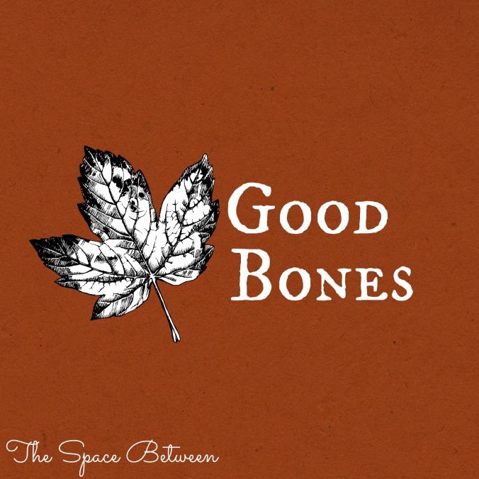 the-space-between-good-bones