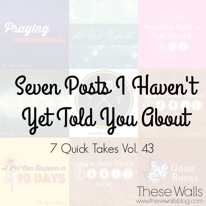 these-walls-7-posts-i-havent-yet-told-you-about-7qt43
