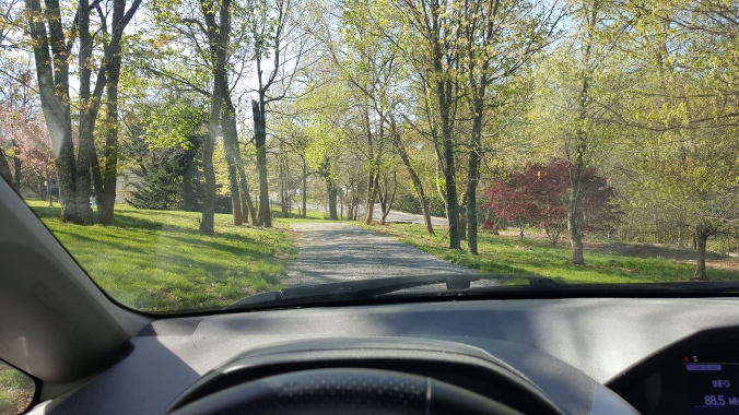 Picture of the view from the author's car